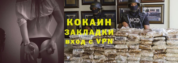 шишки Абаза