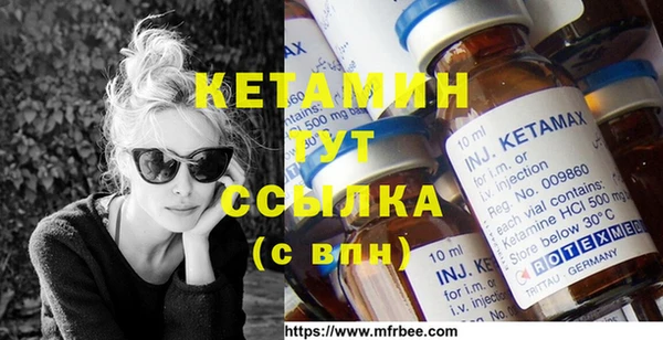 шишки Абаза