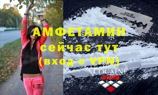 шишки Абаза