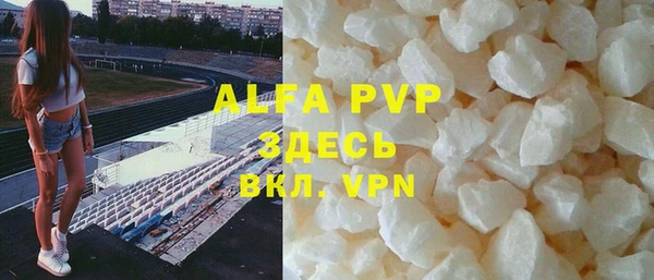 шишки Абаза