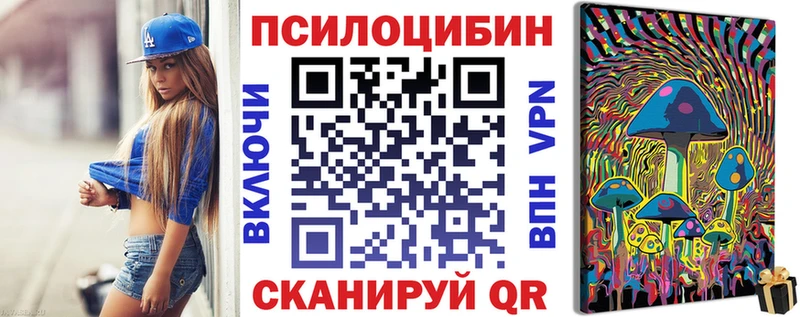 Галлюциногенные грибы Psilocybe  блэк спрут зеркало  Челябинск 